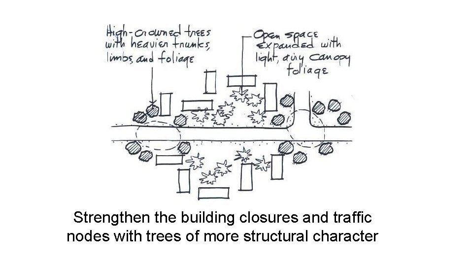 Strengthen the building closures and traffic nodes with trees of more structural character 