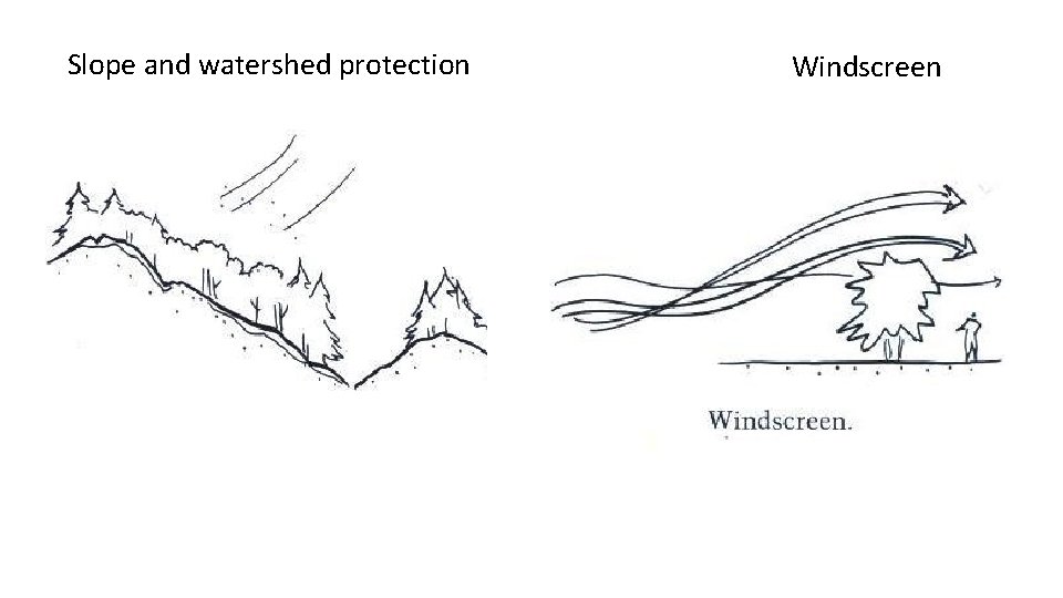 Slope and watershed protection Windscreen 