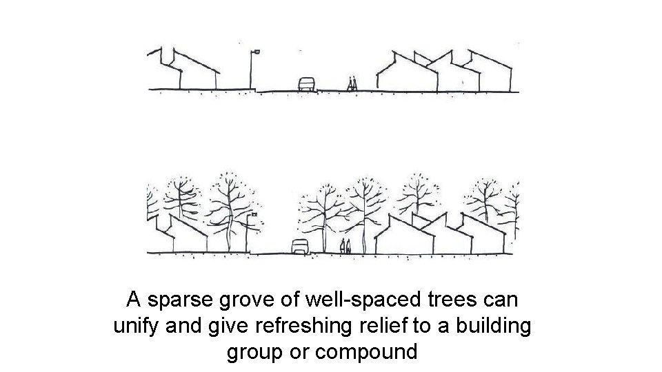 A sparse grove of well-spaced trees can unify and give refreshing relief to a