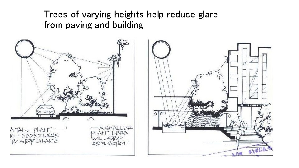 Trees of varying heights help reduce glare from paving and building 
