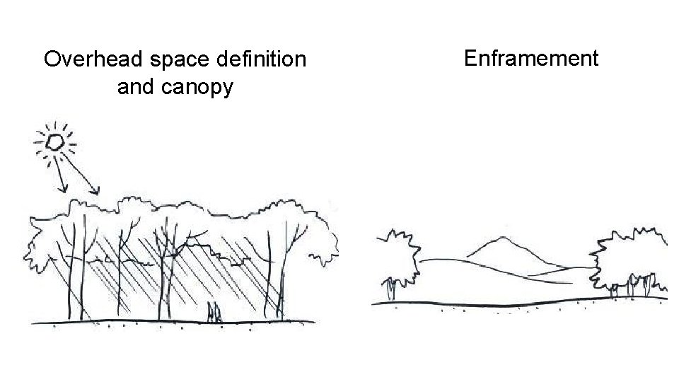 Overhead space definition and canopy Enframement 