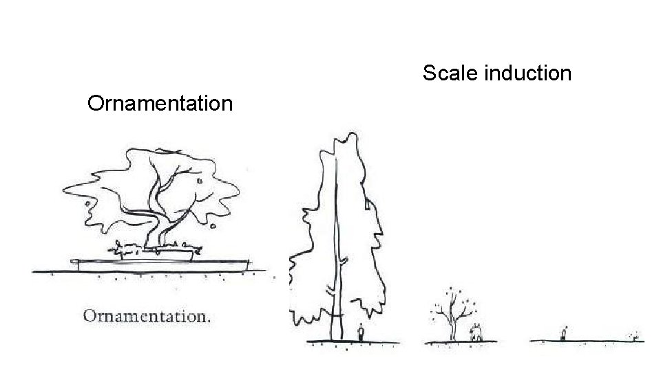 Scale induction Ornamentation 