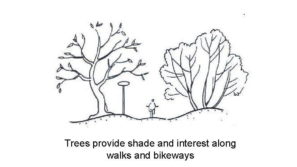 Trees provide shade and interest along walks and bikeways 
