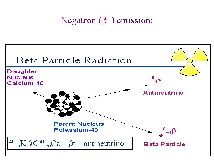 Negatron (β- ) emission: 40 K 40 Ca + β- + antineutrino 19 20 Negatron (β- ) emission: 40 K 40 Ca + β- + antineutrino 19 20