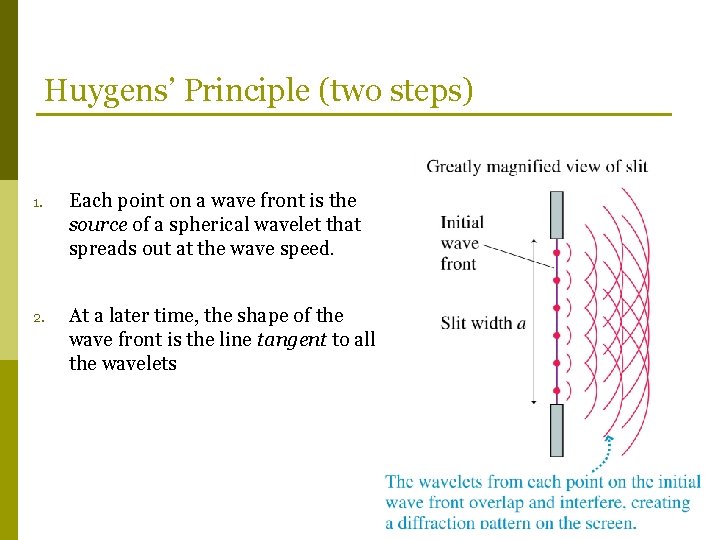 Huygens’ Principle (two steps) 1. Each point on a wave front is the source