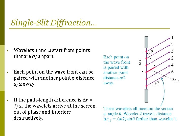 Single-Slit Diffraction… § Wavelets 1 and 2 start from points that are a/2 apart.