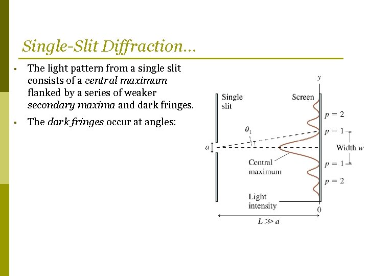 Single-Slit Diffraction… § The light pattern from a single slit consists of a central