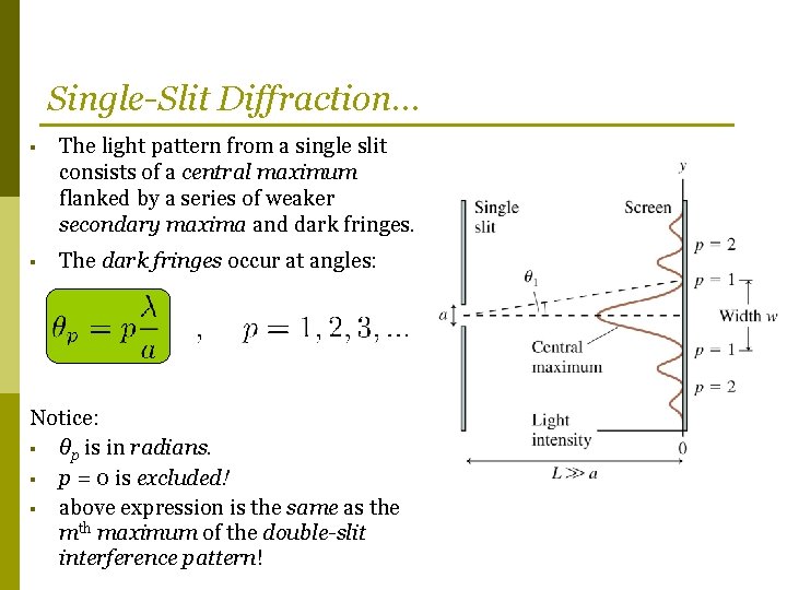 Single-Slit Diffraction… § The light pattern from a single slit consists of a central