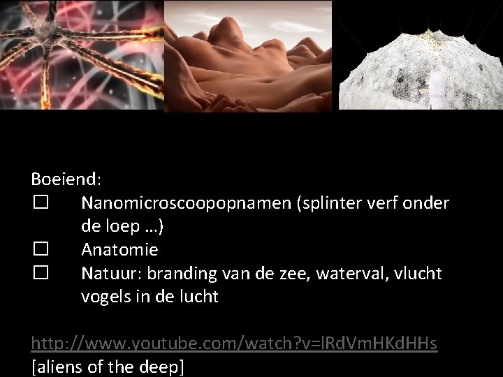 Boeiend: � Nanomicroscoopopnamen (splinter verf onder de loep …) � Anatomie � Natuur: branding