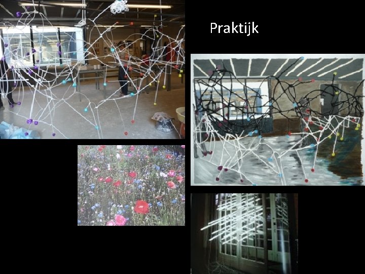 Praktijk 