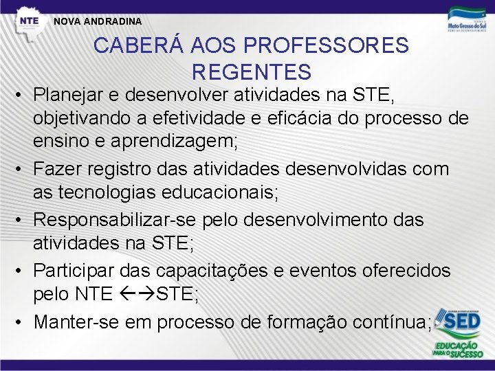 NOVA ANDRADINA CABERÁ AOS PROFESSORES REGENTES • Planejar e desenvolver atividades na STE, objetivando