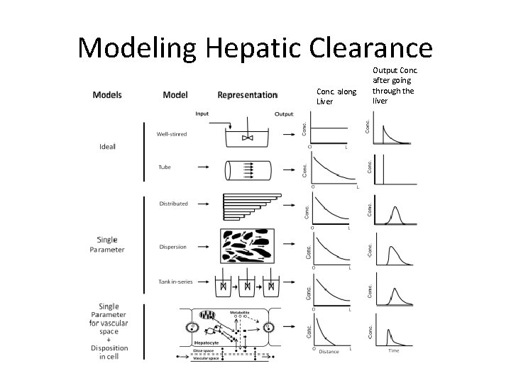 Modeling Hepatic Clearance Conc. along Liver Output Conc. after going through the liver 