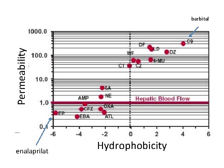 Permeability barbital enalaprilat Hydrophobicity 