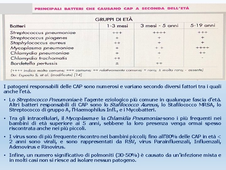 I patogeni responsabili delle CAP sono numerosi e variano secondo diversi fattori tra i