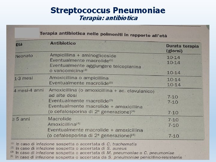 Streptococcus Pneumoniae Terapia: antibiotica 