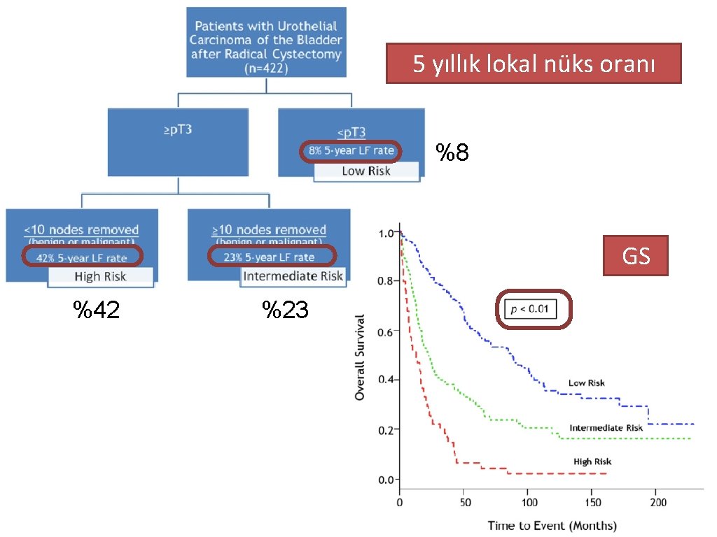 5 yıllık lokal nüks oranı %8 GS %42 %23 