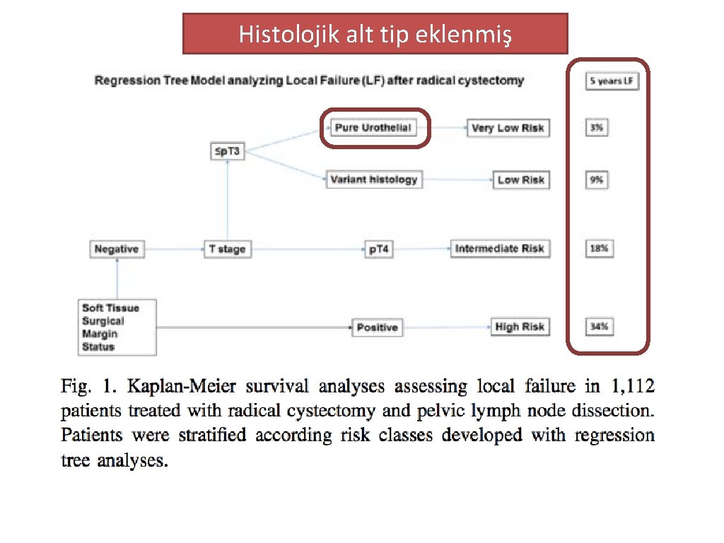 Histolojik alt tip eklenmiş 