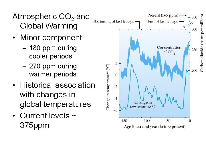 Atmospheric CO 2 and Global Warming • Minor component – 180 ppm during cooler