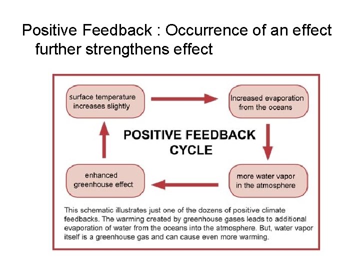 Positive Feedback : Occurrence of an effect further strengthens effect 