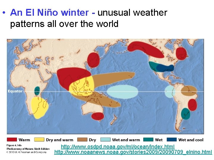  • An El Niño winter - unusual weather patterns all over the world