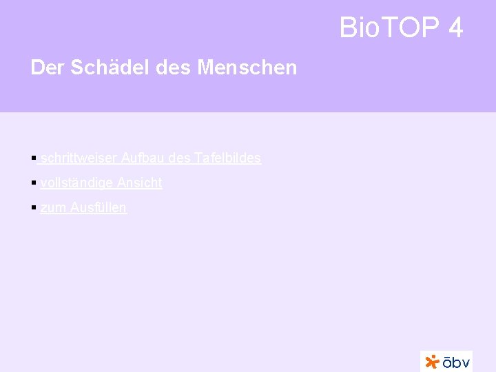 Bio. TOP 4 Der Schädel des Menschen § schrittweiser Aufbau des Tafelbildes § vollständige