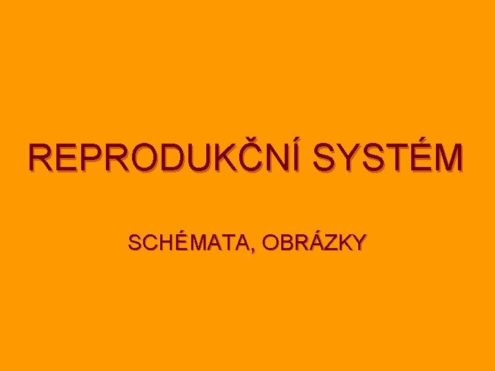 REPRODUKČNÍ SYSTÉM SCHÉMATA, OBRÁZKY 