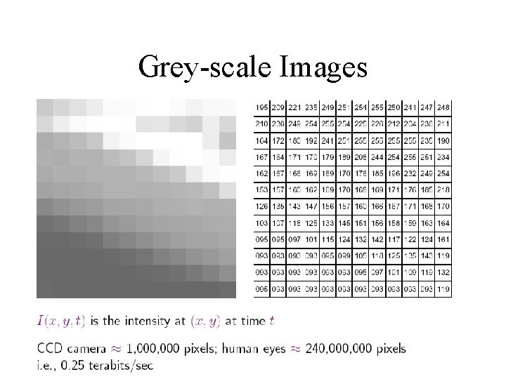 Grey-scale Images 