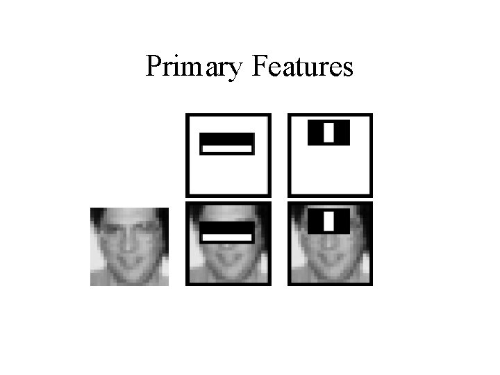 Primary Features 