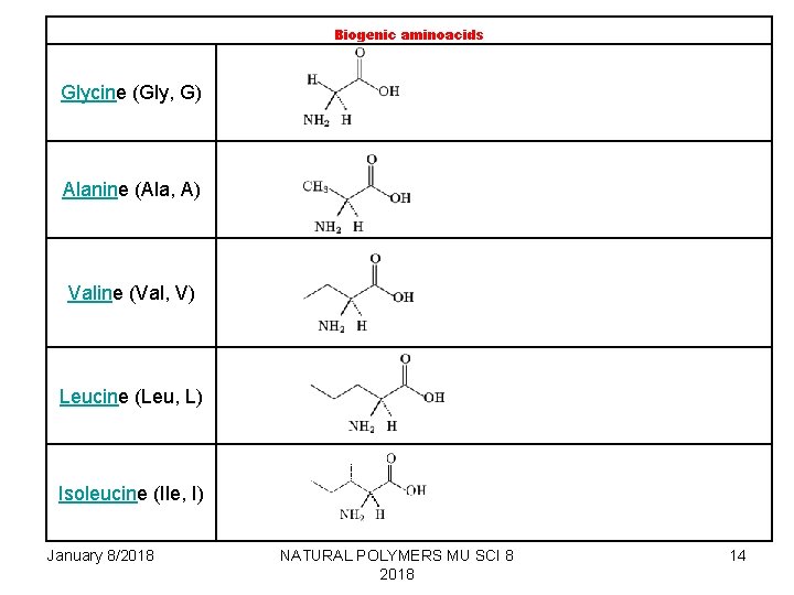Biogenic aminoacids Glycine (Gly, G) Alanine (Ala, A) Valine (Val, V) Leucine (Leu, L)