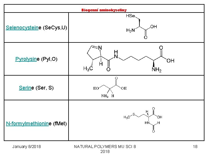 Biogenní aminokyseliny Selenocysteine (Se. Cys, U) Pyrolysine (Pyl, O) Serine (Ser, S) N-formylmethionine (f.