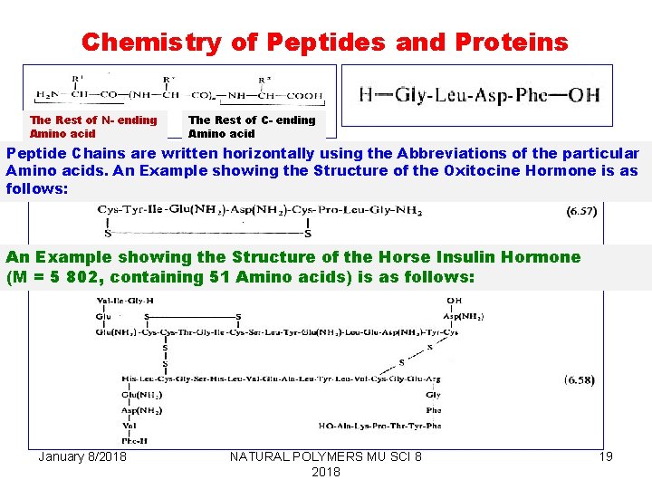 Chemistry of Peptides and Proteins The Rest of N- ending Amino acid The Rest