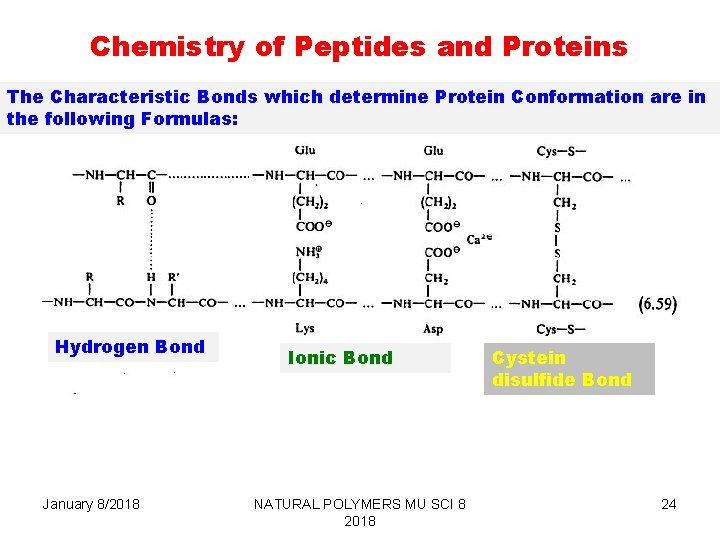 Chemistry of Peptides and Proteins The Characteristic Bonds which determine Protein Conformation are in