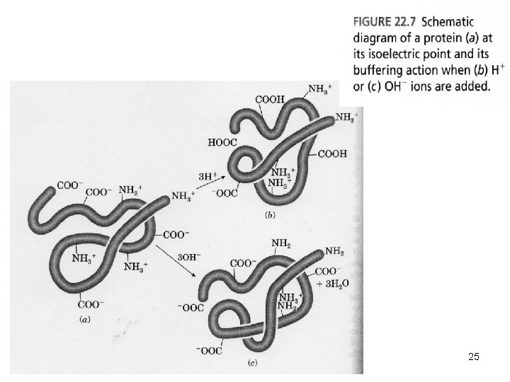 January 8/2018 NATURAL POLYMERS MU SCI 8 2018 25 