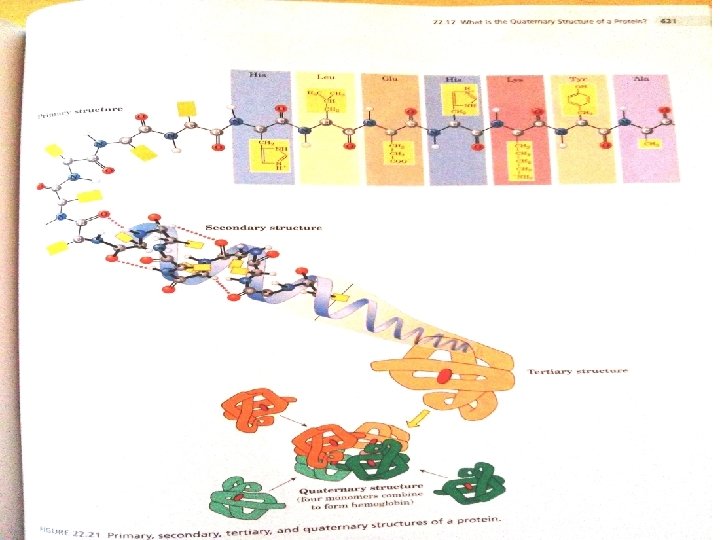 January 8/2018 NATURAL POLYMERS MU SCI 8 2018 33 