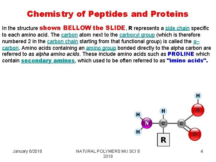 Chemistry of Peptides and Proteins In the structure shown BELLOW the SLIDE, R represents