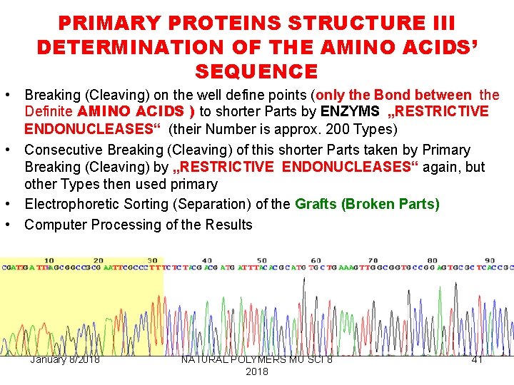 PRIMARY PROTEINS STRUCTURE III DETERMINATION OF THE AMINO ACIDS’ SEQUENCE • Breaking (Cleaving) on