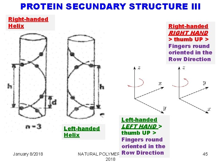 PROTEIN SECUNDARY STRUCTURE III Right-handed Helix Right-handed RIGHT HAND > thumb UP > Fingers