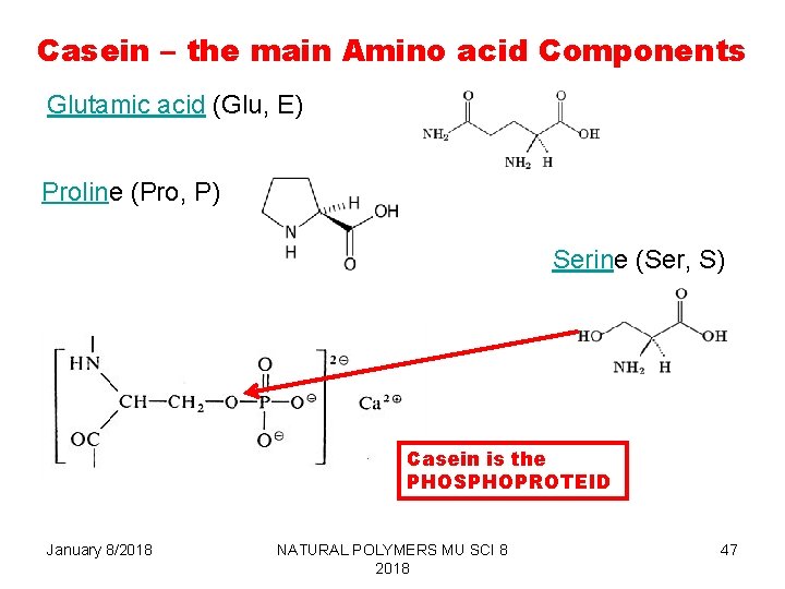 Casein – the main Amino acid Components Glutamic acid (Glu, E) Proline (Pro, P)