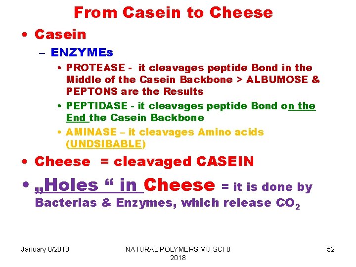 From Casein to Cheese • Casein – ENZYMEs • PROTEASE - it cleavages peptide