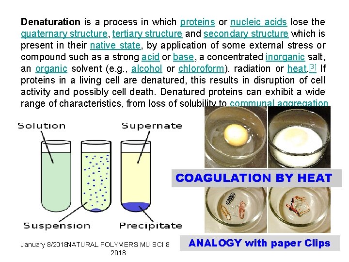 Denaturation is a process in which proteins or nucleic acids lose the quaternary structure,