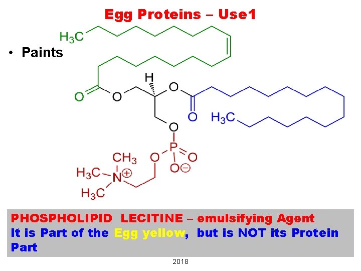 Egg Proteins – Use 1 • Paints PHOSPHOLIPID LECITINE – emulsifying Agent It is