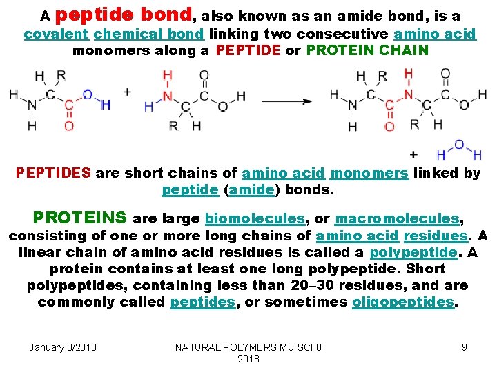 A peptide bond, also known as an amide bond, is a covalent chemical bond