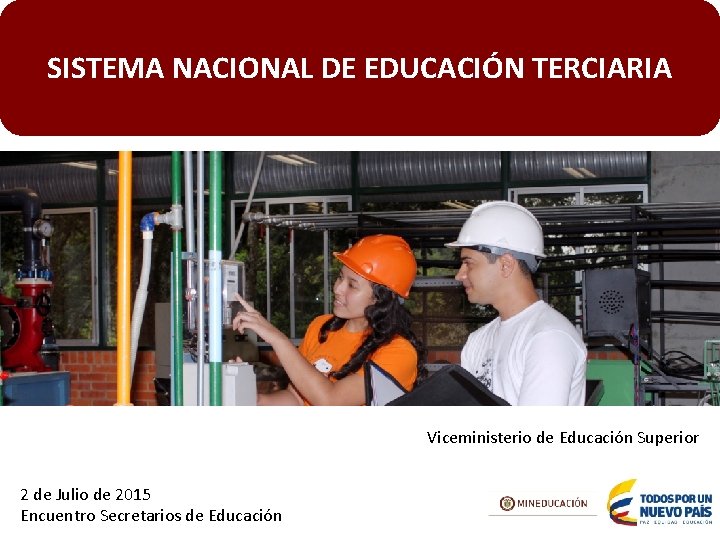 SISTEMA NACIONAL DE EDUCACIÓN TERCIARIA Viceministerio de Educación Superior 2 de Julio de 2015