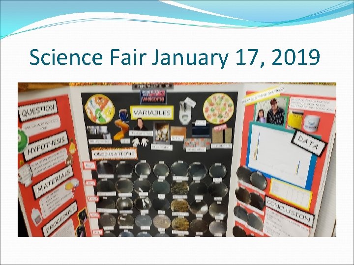Science Fair January 17, 2019 