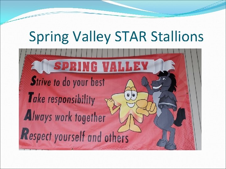 Spring Valley STAR Stallions 