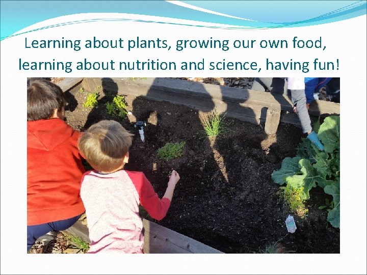 Learning about plants, growing our own food, learning about nutrition and science, having fun!