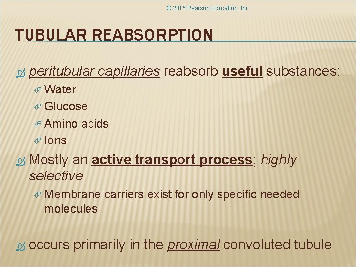 © 2015 Pearson Education, Inc. TUBULAR REABSORPTION peritubular capillaries reabsorb useful substances: Water Glucose