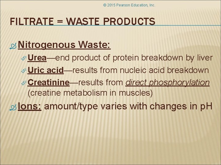 © 2015 Pearson Education, Inc. FILTRATE = WASTE PRODUCTS Nitrogenous Waste: Urea—end product of