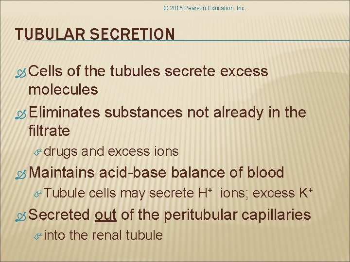 © 2015 Pearson Education, Inc. TUBULAR SECRETION Cells of the tubules secrete excess molecules