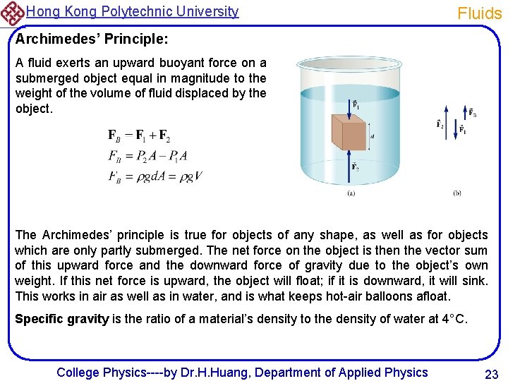 Hong Kong Polytechnic University Fluids Archimedes’ Principle: A fluid exerts an upward buoyant force